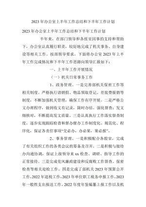 2023年办公室上半年工作总结和下半年工作计划.docx