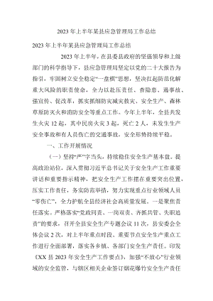 2023年上半年某县应急管理局工作总结.docx