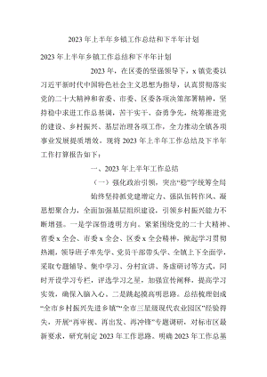 2023年上半年乡镇工作总结和下半年计划.docx