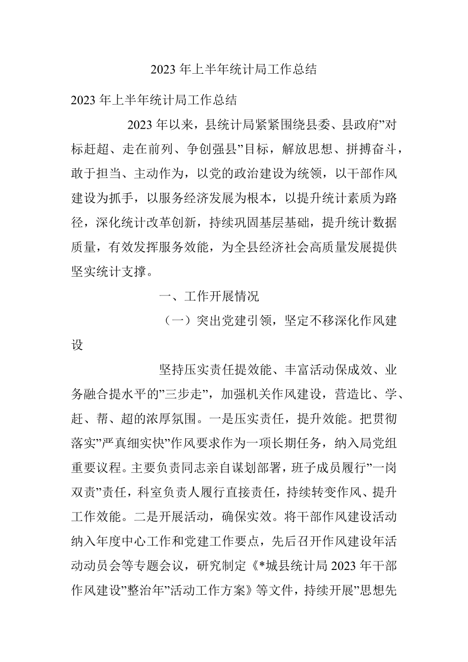 2023年上半年统计局工作总结.docx_第1页