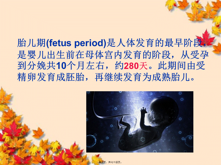 人体发育学第二章胎儿期ok.pptx_第3页