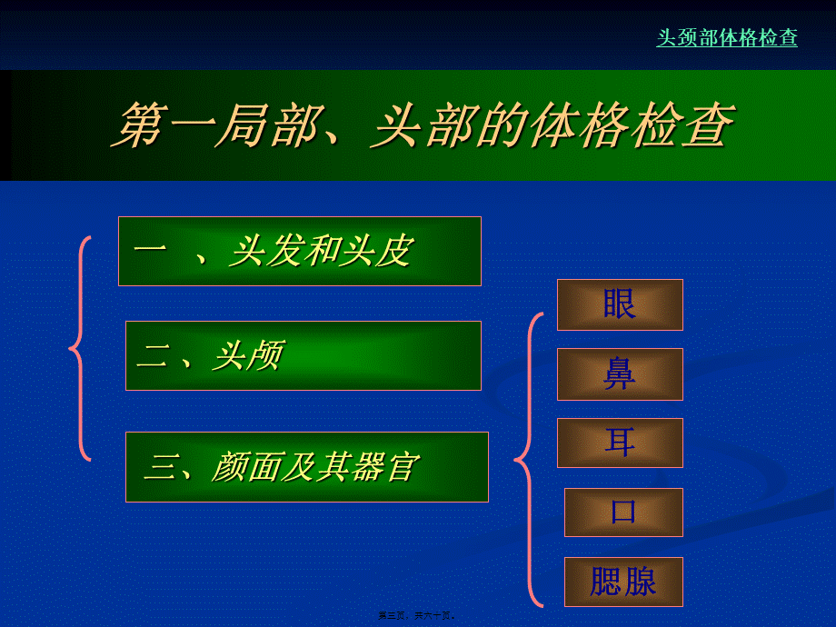 头颈部体格检查(经典).pptx_第3页