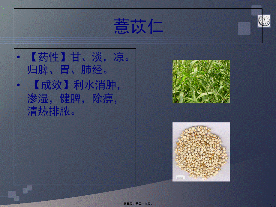 利水祛湿类药膳.pptx_第3页