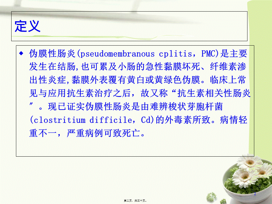 伪膜性肠炎...pptx_第2页