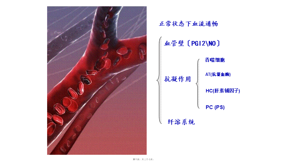 凝血功能相关理解.ppt_第3页