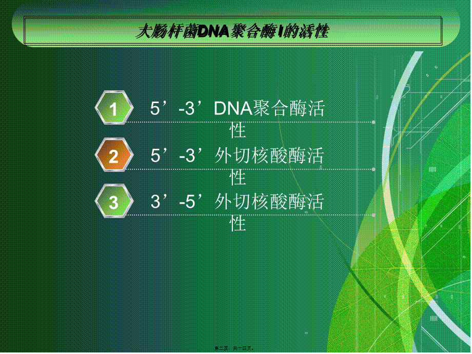 大肠杆菌DNA聚合酶1的作用与应用资料.pptx_第2页