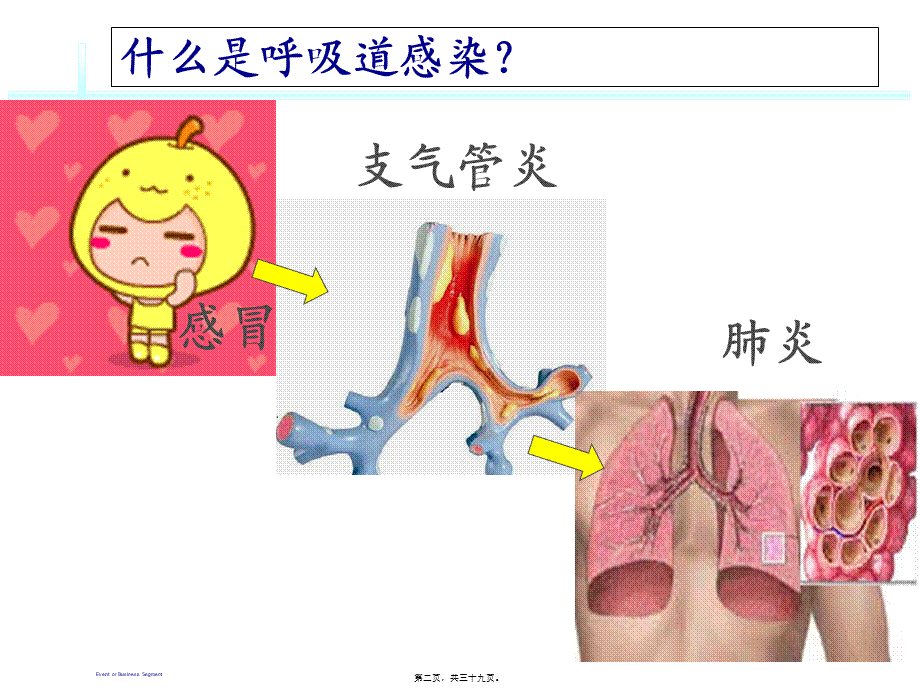 呼吸道感染的防治.pptx_第2页