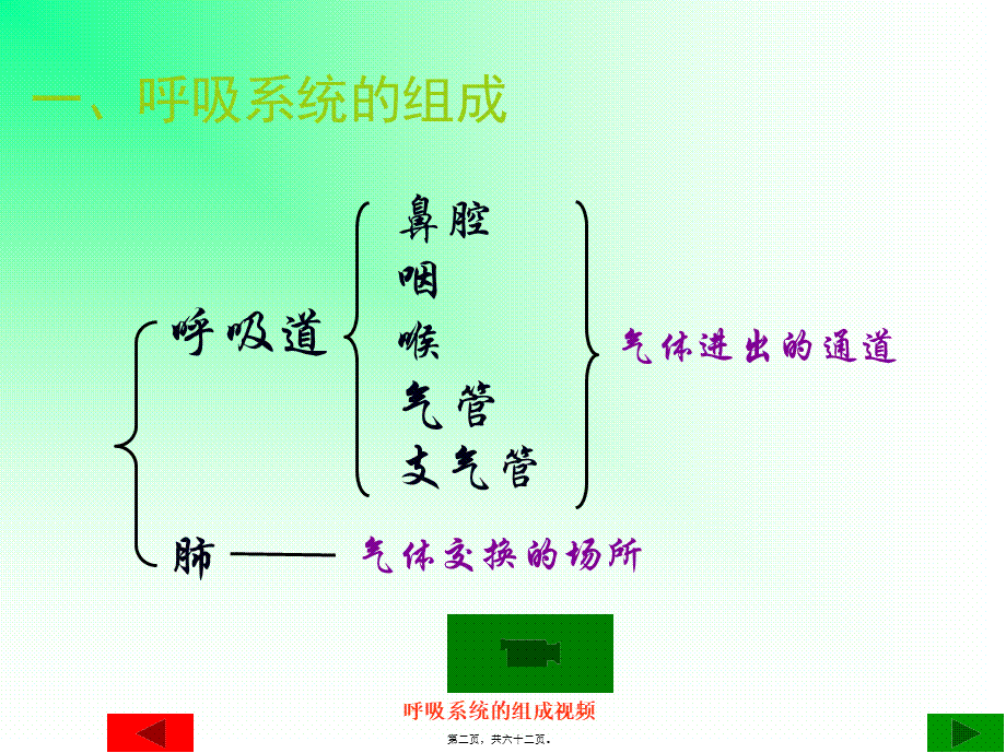 人体与外界的气体交换-济南板2012.2.26.pptx_第2页