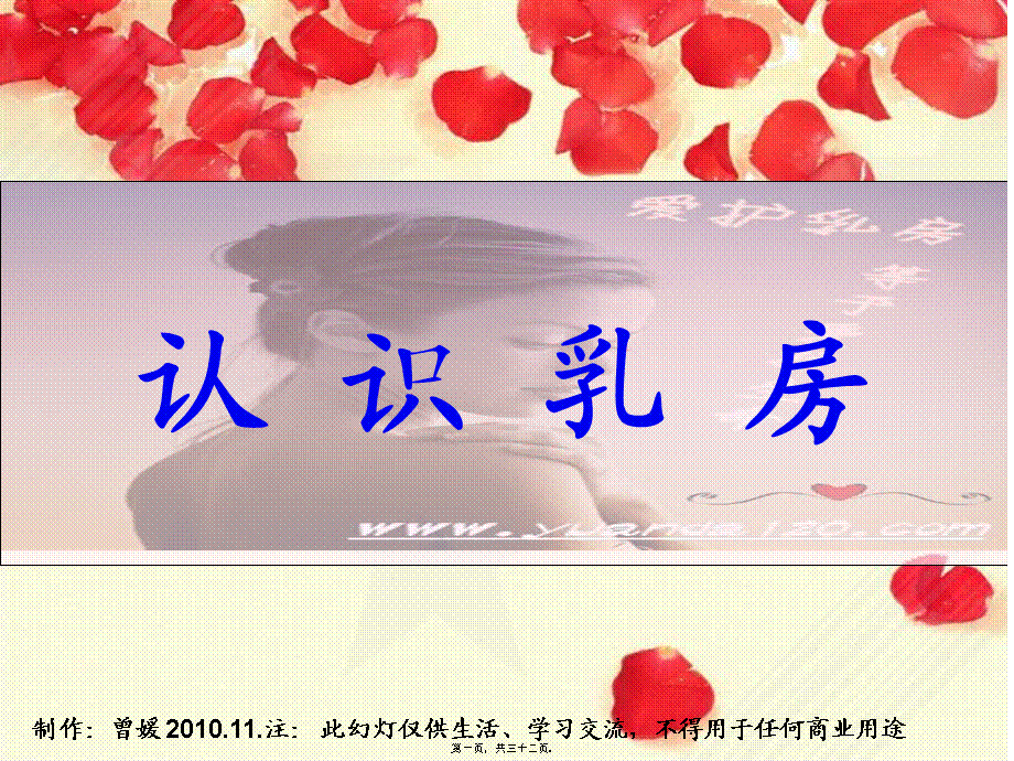 女性：关爱乳房健康公益讲座(二).pptx_第1页