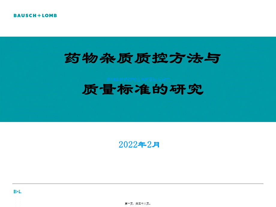 仿制药申请原料药杂质研究指导原则.pptx_第1页