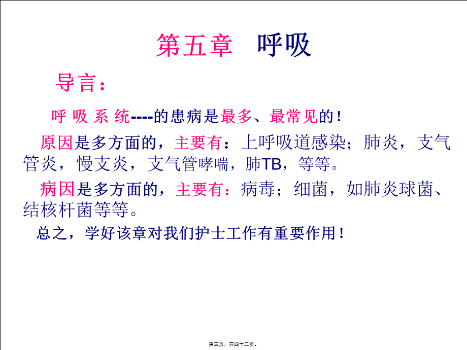 呼吸肺通气.pptx_第3页