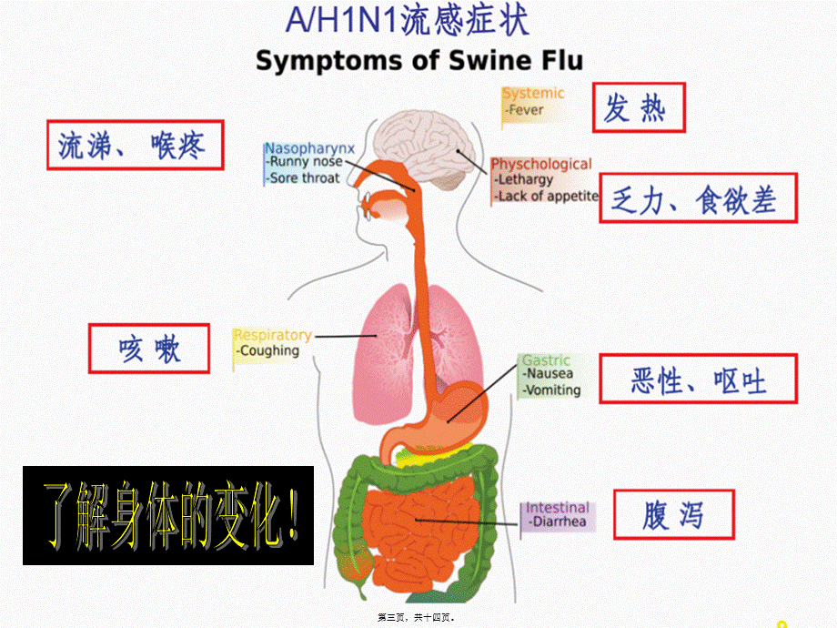 发热咳嗽打喷嚏流鼻涕喉咙痛身体痛头痛实习.pptx_第3页