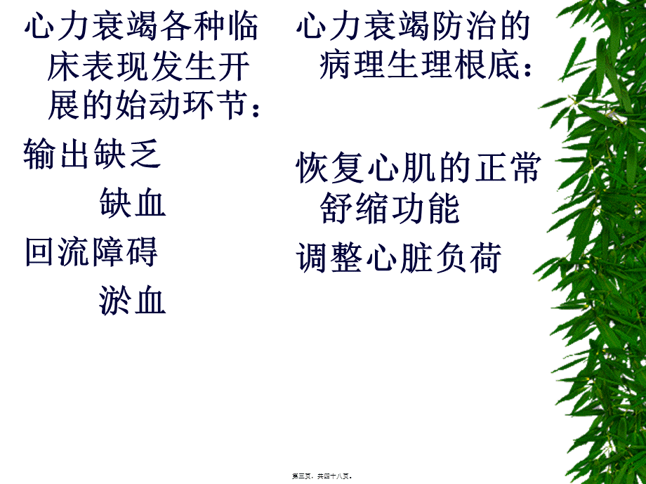 充血性心力衰竭-libo.pptx_第3页