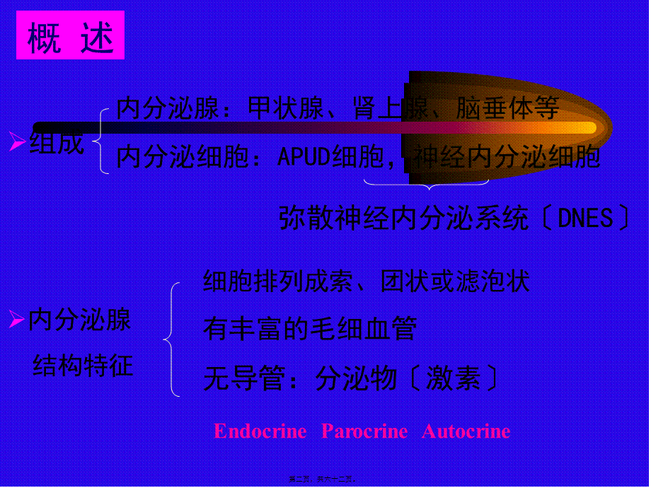 内分泌系统正稿.pptx_第2页