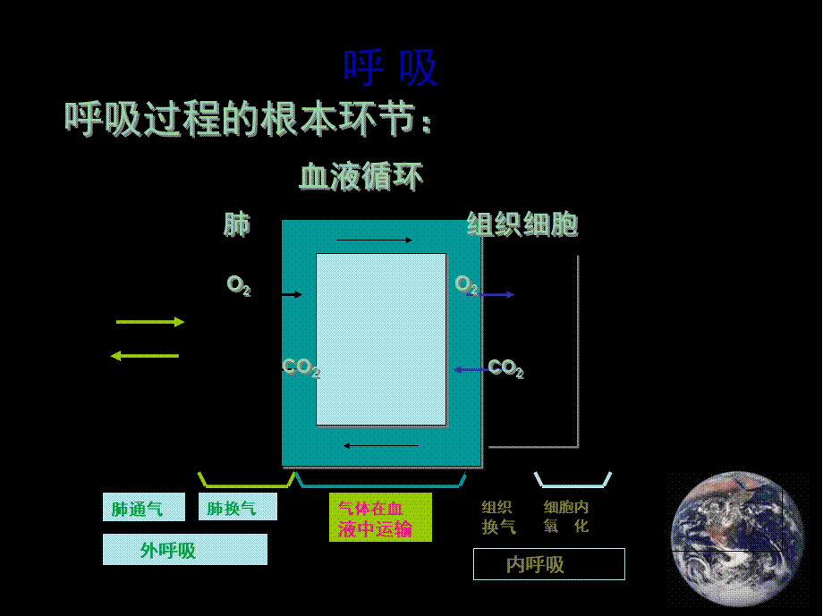 呼吸机应用大全.pptx_第2页