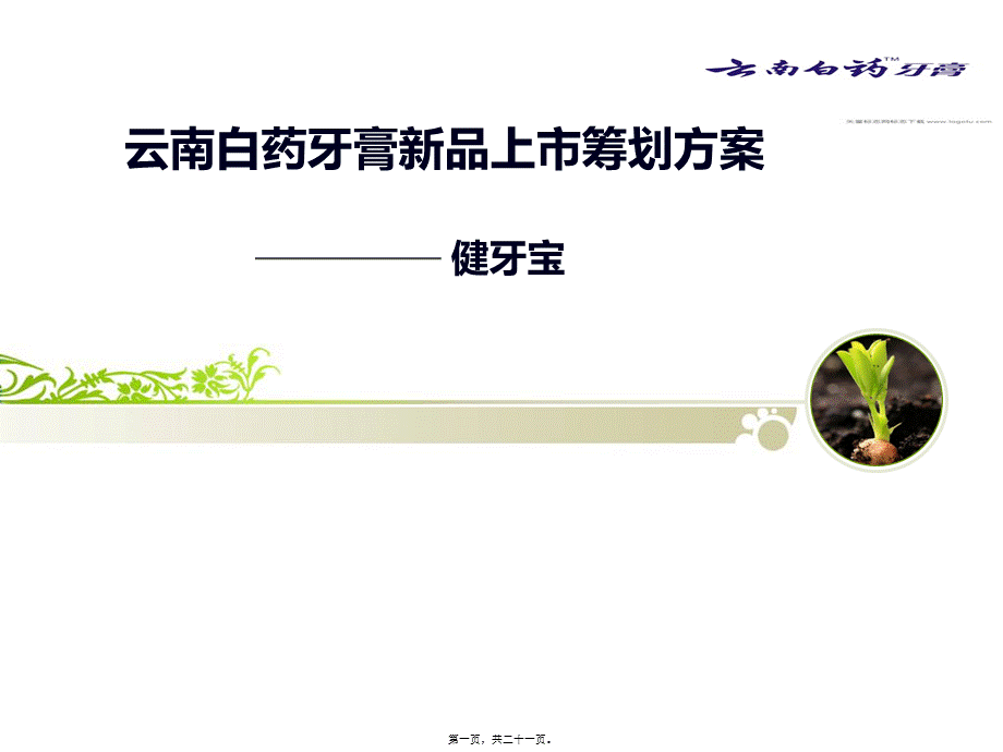 云南白药牙膏新品上市PPT.综述.pptx_第1页