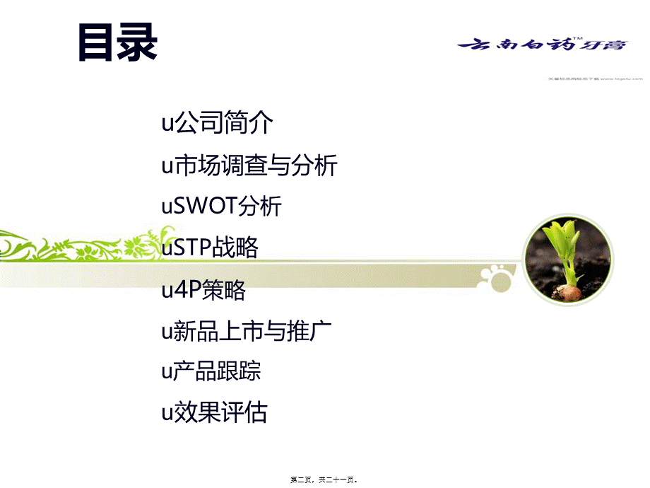 云南白药牙膏新品上市PPT.综述.pptx_第2页