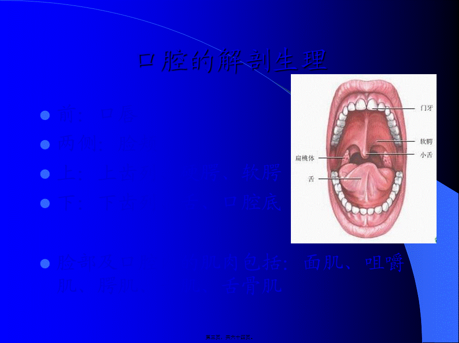 吞咽困难的评定与康复.pptx_第3页