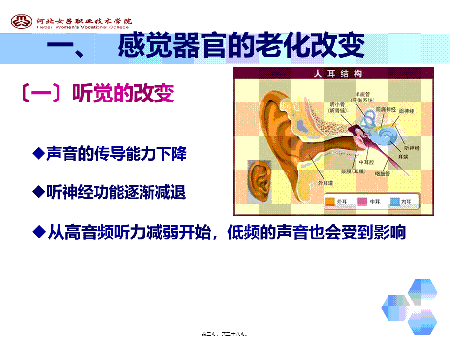 人体各系统的老化改变.ppt_第3页