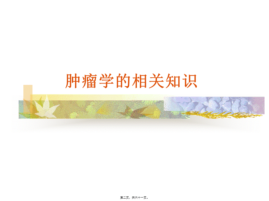 化疗毒副作用的防治.pptx_第2页