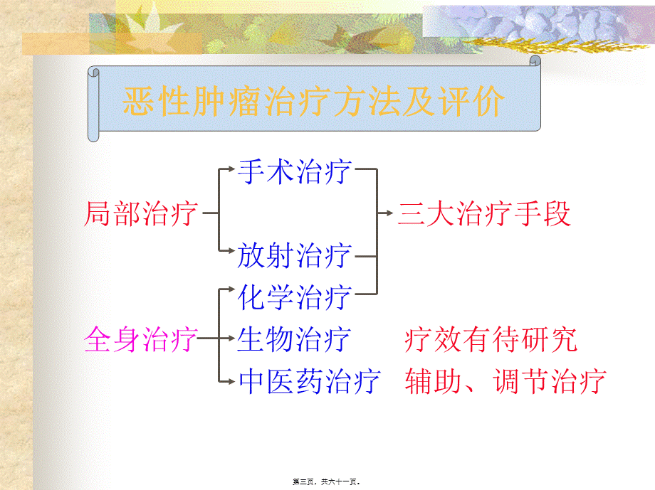 化疗毒副作用的防治.pptx_第3页