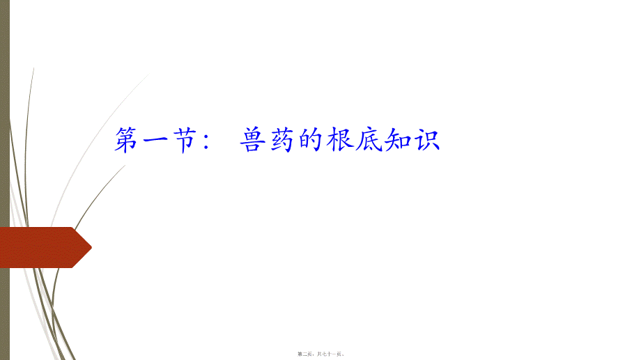 兽药的基础知识-讲师用.ppt_第2页