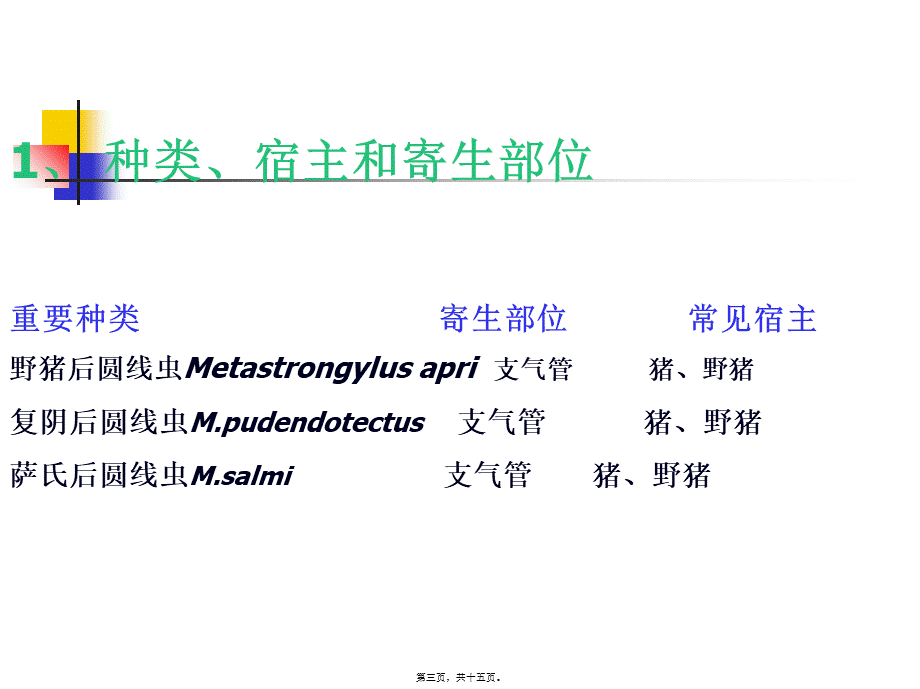 六-猪肺线虫病.pptx_第3页