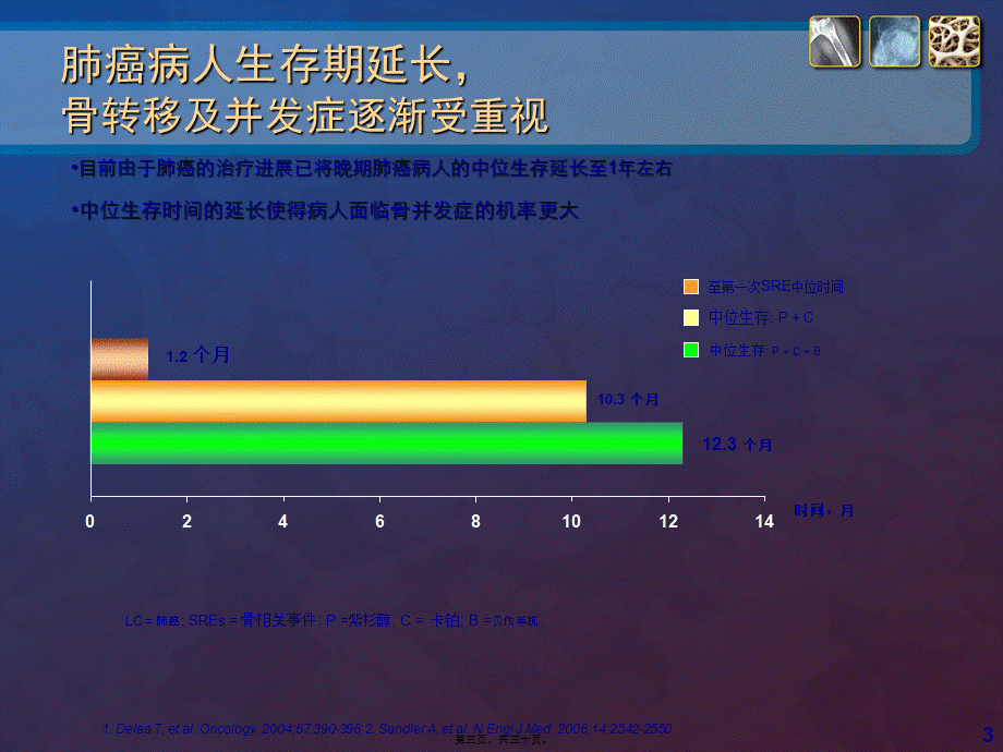 双膦酸盐在肺癌中骨转移的进展.pptx_第3页