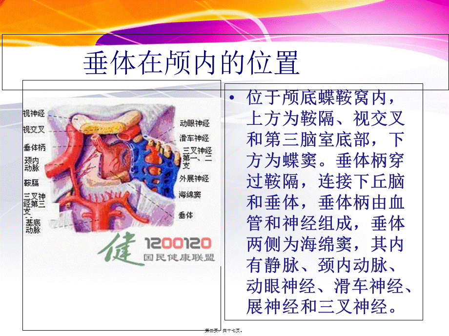 垂体瘤ppt1.pptx_第2页