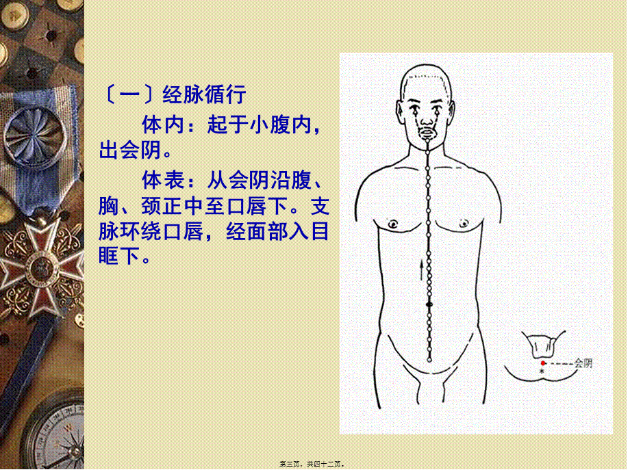 任脉与腧穴概要.pptx_第3页