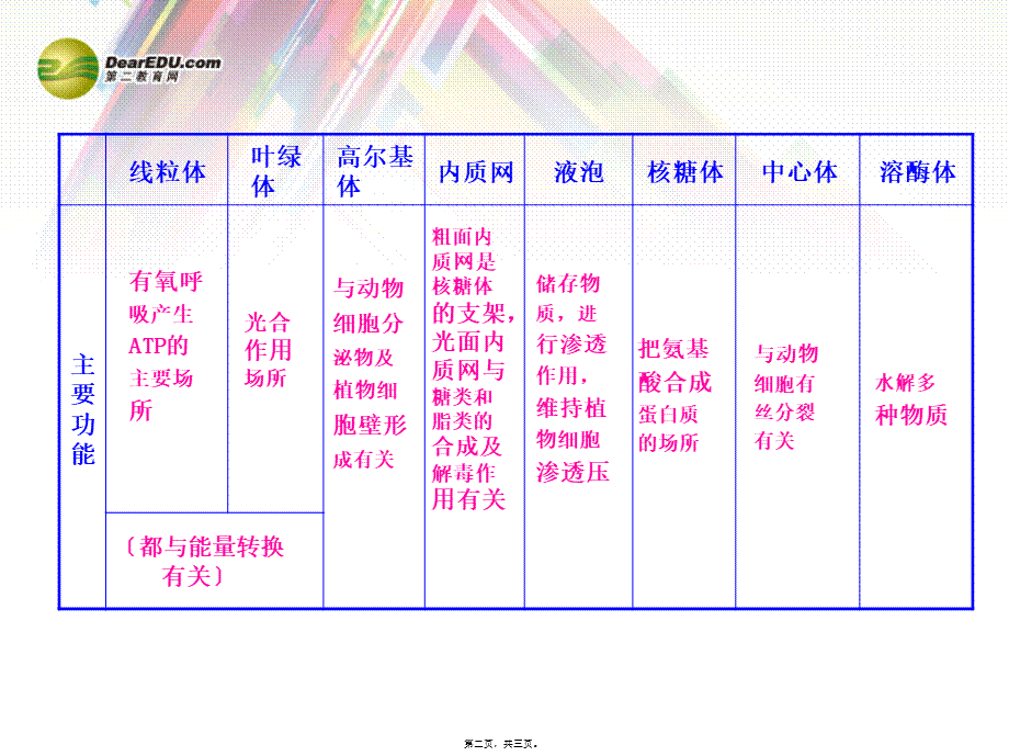 各种细胞器按结构、成分、功能的归纳比较表.pptx_第2页