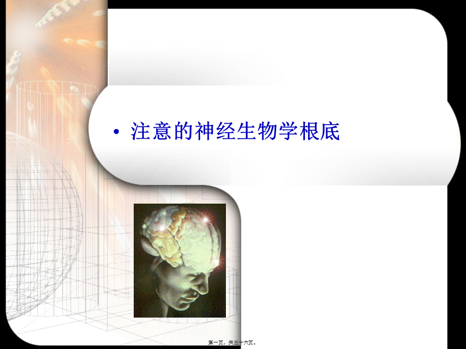 场依存-场独立与大脑功能侧化的关系的研究.pptx_第1页