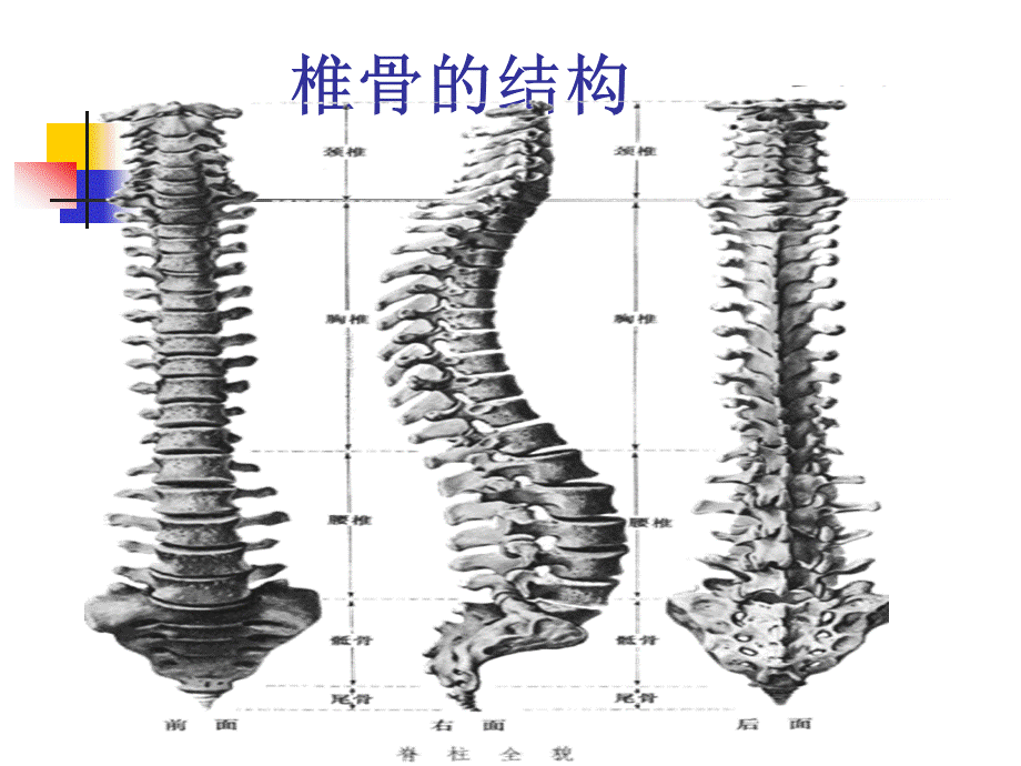 办公室常见病的防治(修改).ppt_第3页