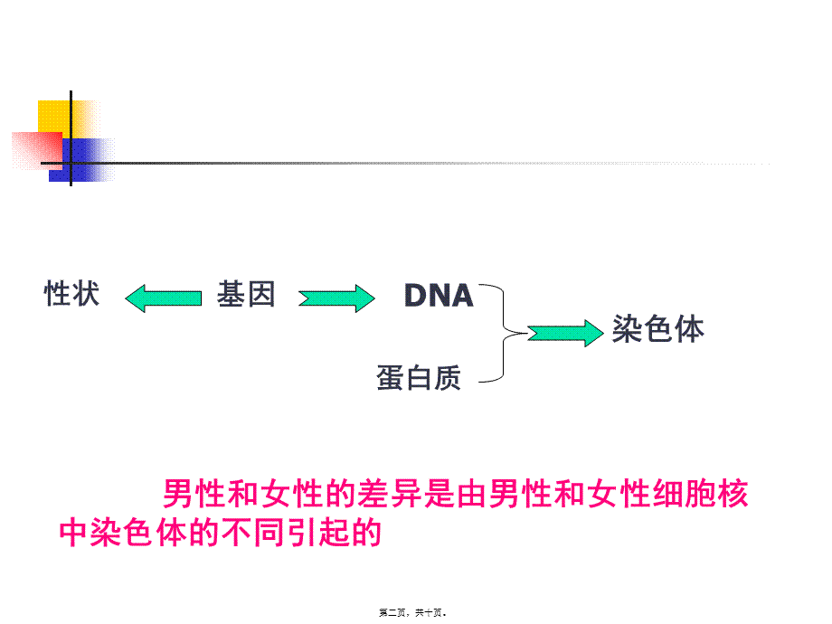 体细胞中常染色体和性染色体的数目生殖细胞中呢.pptx_第2页