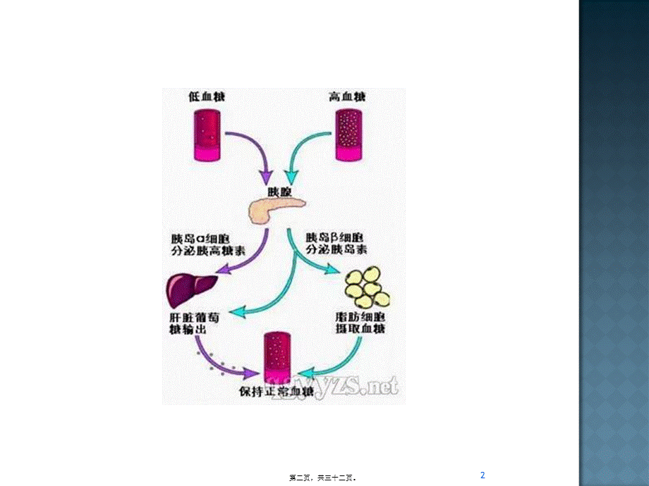 妊娠期糖尿病运动指导.pptx_第2页