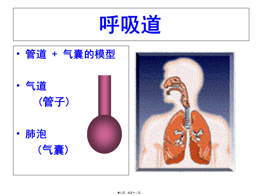 呼吸力学的监测.pptx_第2页