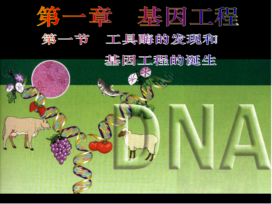 人和动物体内三大营养物质的代谢.pptx_第1页