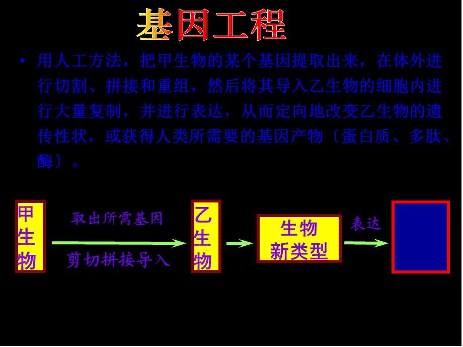 人和动物体内三大营养物质的代谢.pptx_第3页