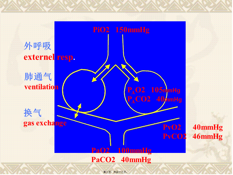 呼吸衰竭respiratoryfailure一、概述定义：外呼吸(1).pptx_第2页