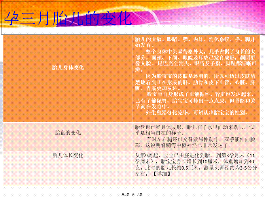 孕三月身体变化.pptx_第2页