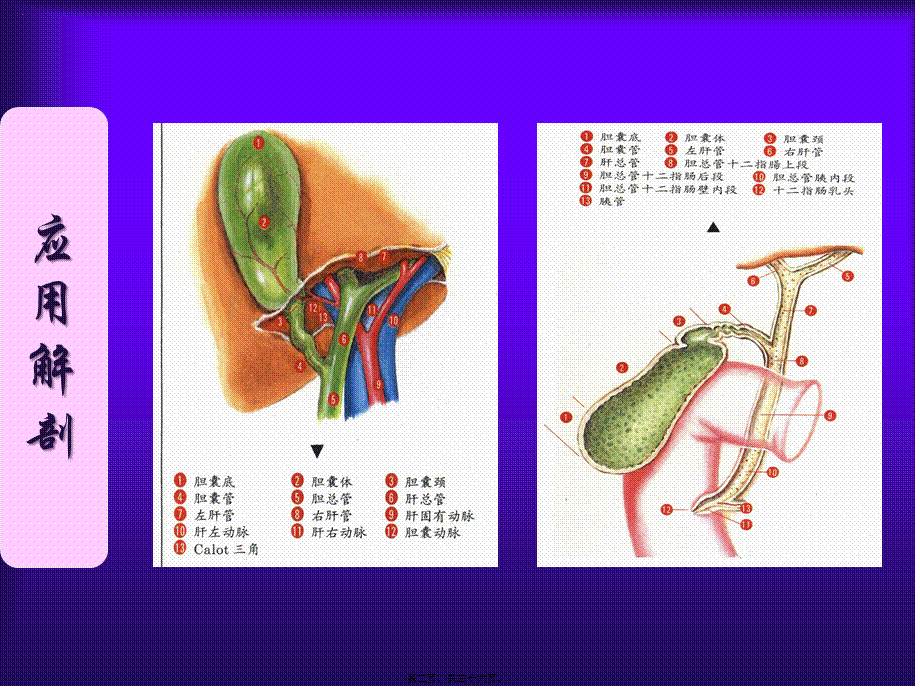 大连医科大学附属第二医院.pptx_第2页