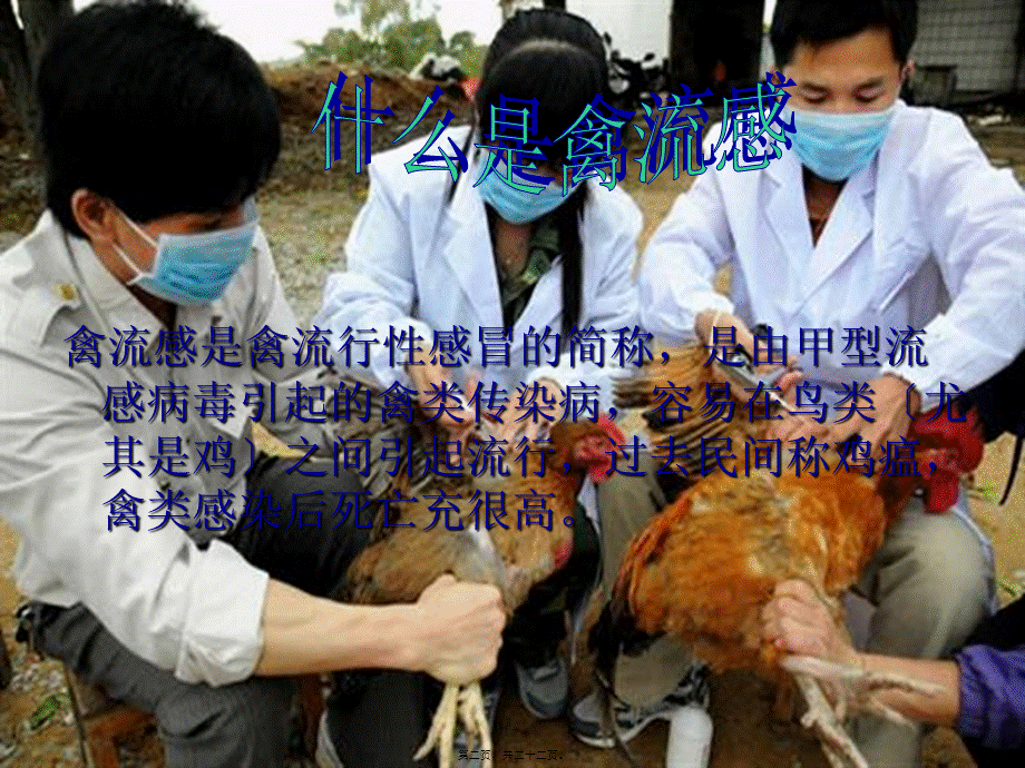 人感染-H7N9-禽流知识宣讲.pptx_第2页