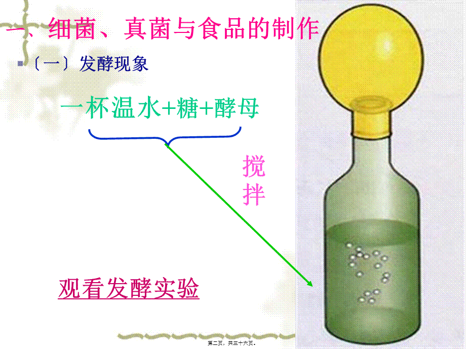 人类对细菌和真菌的利用ppt2.pptx_第2页