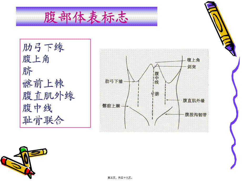 健康评估7.身体状况评估-3-腹部-58P.pptx_第3页