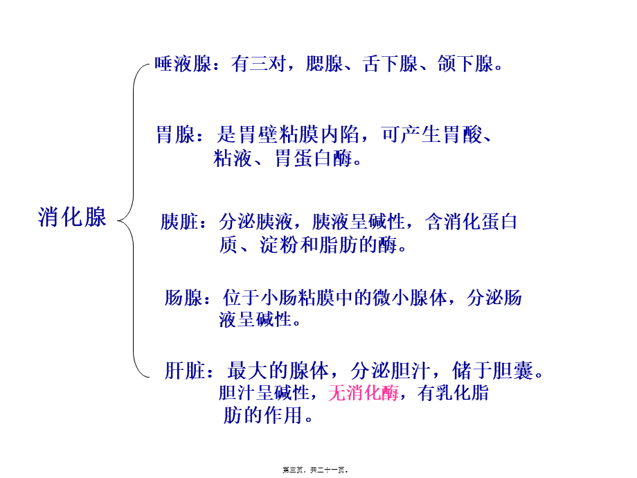 人体消化、循环、呼吸、泌尿系统.pptx_第3页