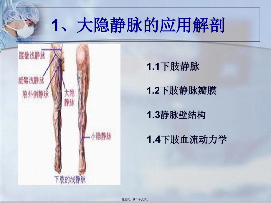 大隐静脉剥脱术.pptx_第3页