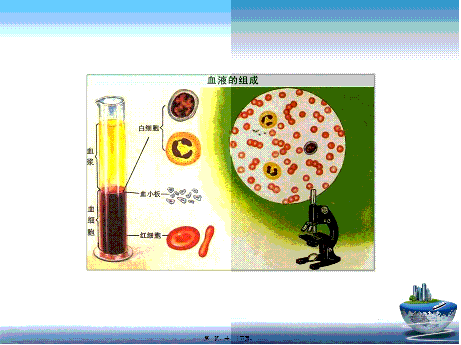 人类遗传学-血型的遗传.pptx_第2页