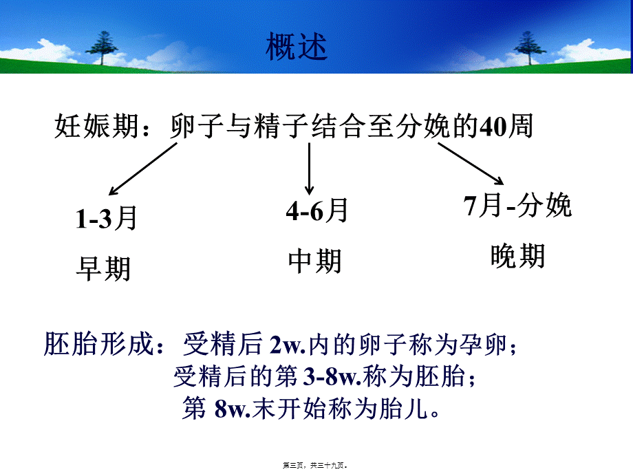 妊娠期和哺乳期用药.pptx_第3页