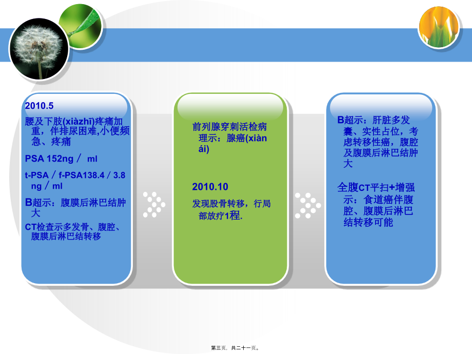 2022年医学专题—化疗111.ppt_第3页