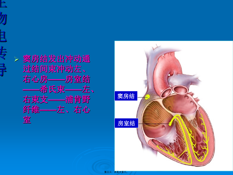 人工心脏起搏器.pptx_第3页